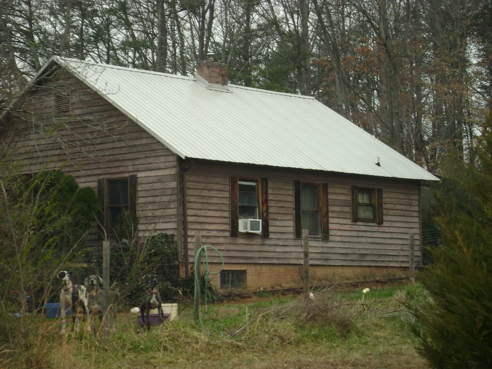 White metal roof on an old wood sided farmhouse, from a Asphalt Shingle Roof Repair job in Doyle